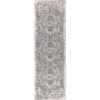 Izmir Vintage Medallion Area Rug - JONATHAN Y