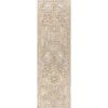 Petras Modern Ornate Medallion Area Rug - JONATHAN Y